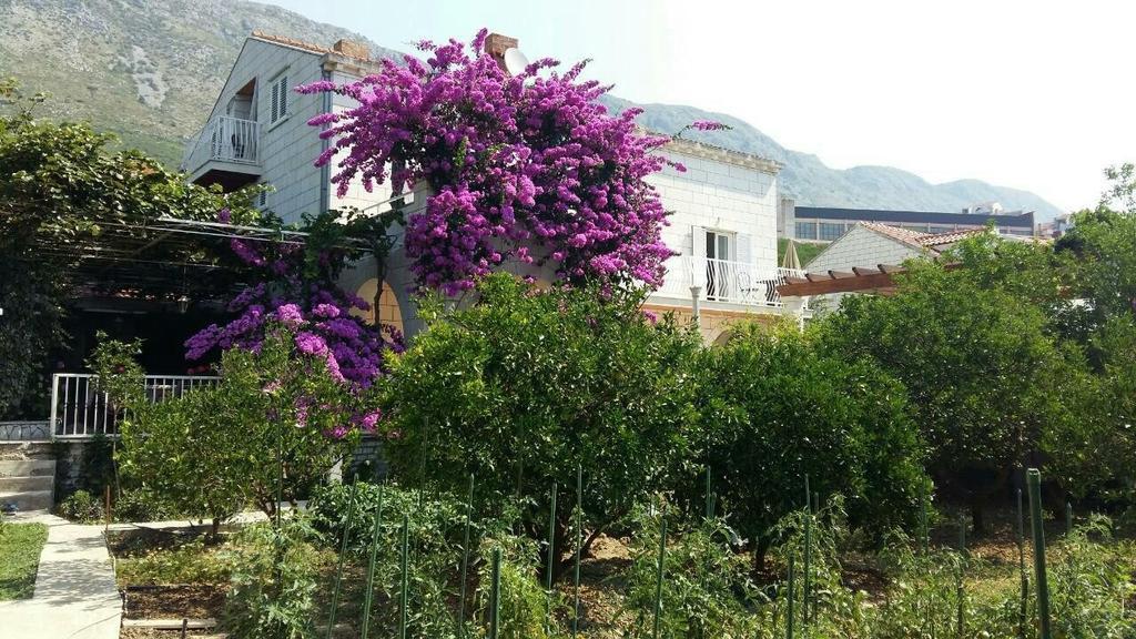 Apartments Husanovic Mokošica Kültér fotó