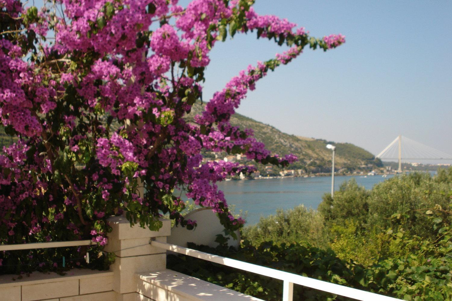 Apartments Husanovic Mokošica Kültér fotó