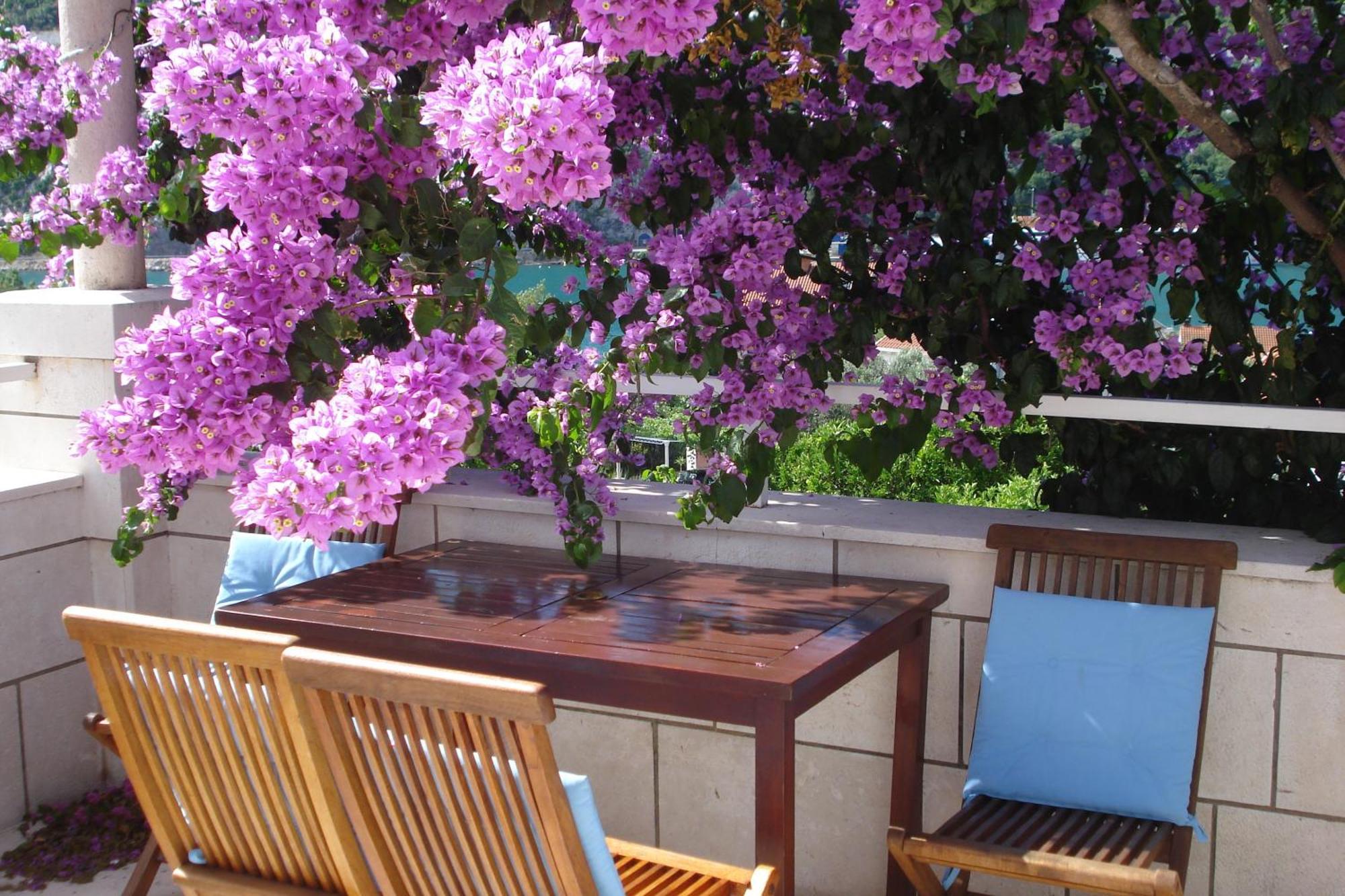 Apartments Husanovic Mokošica Kültér fotó