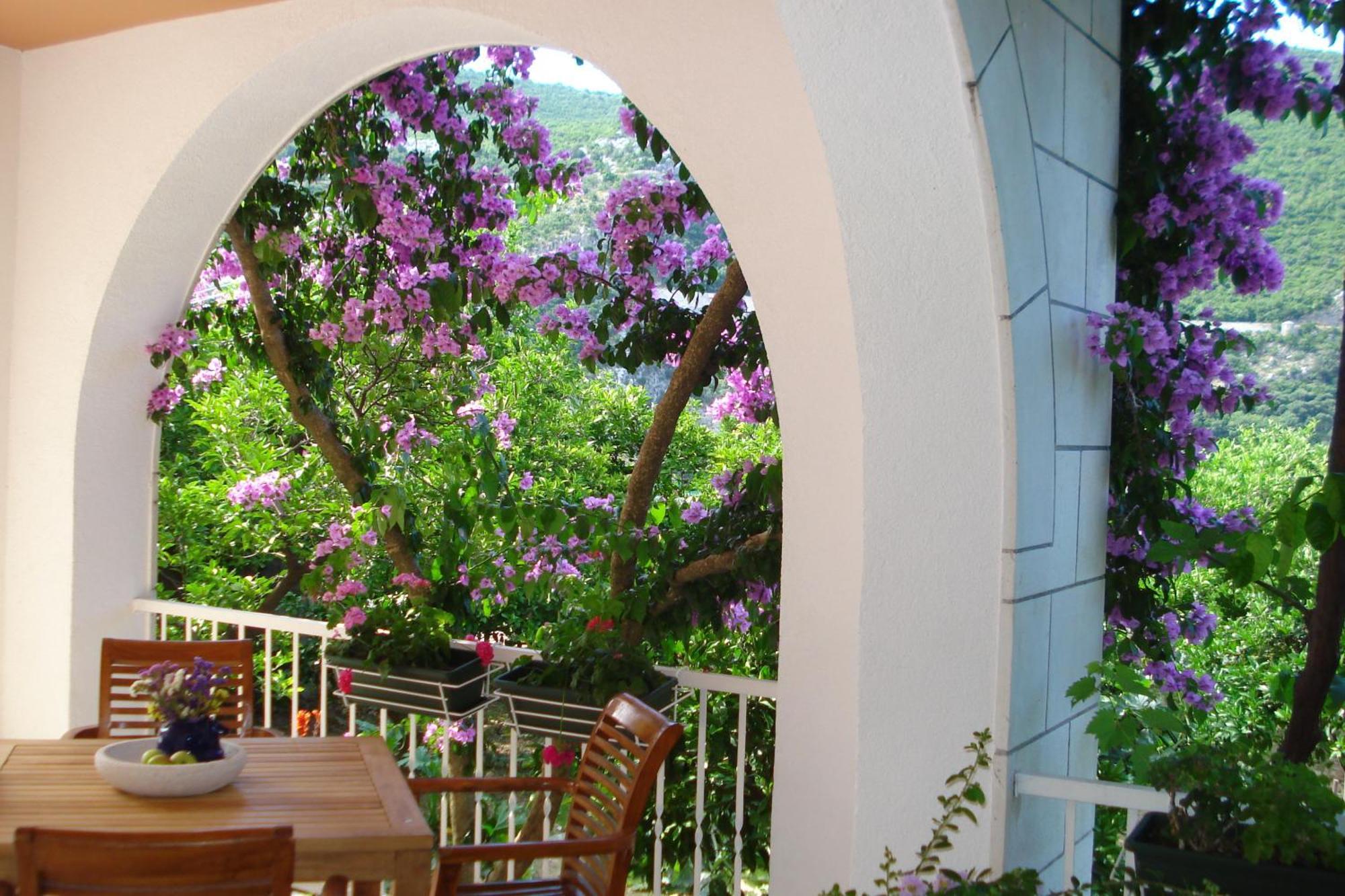 Apartments Husanovic Mokošica Kültér fotó