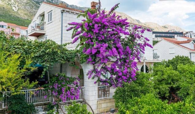 Apartments Husanovic Mokošica Szoba fotó